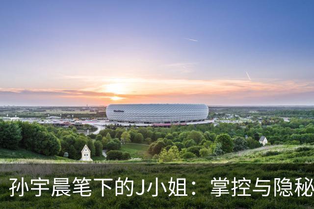 孙宇晨笔下的J小姐：掌控与隐秘的角力
